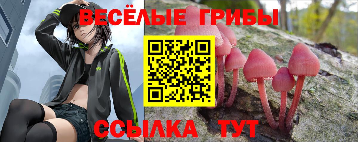 Галлюциногенные грибы мухоморы  Вход с VPN  Дербент 